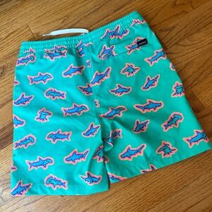Youth Chubbies swim trunks